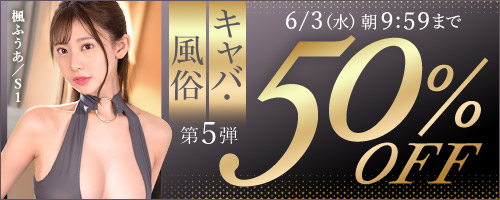shoukaipage2